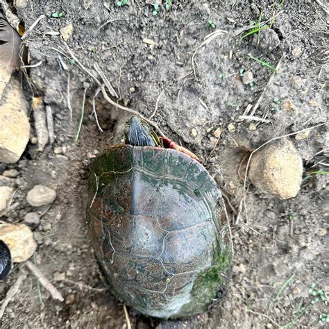 Sidie Hollow County Main Campground | Viroqua, WI