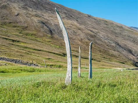 Surrounded by whale bones at this unique ecotourist destination in ...