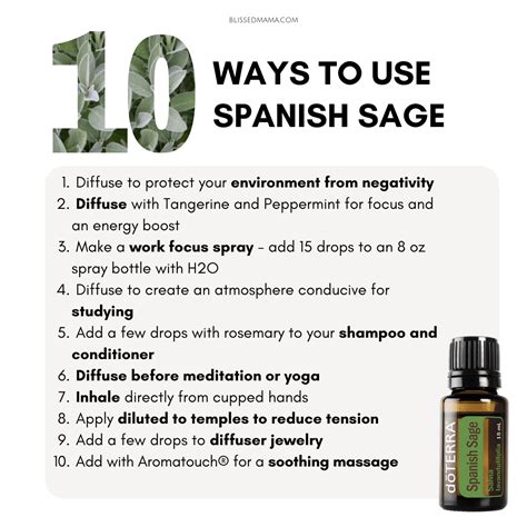Sage Herb To Spanish at Michael Brehm blog