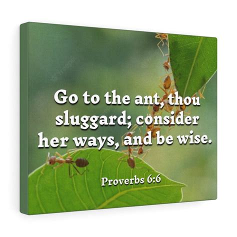 Scripture Walls Proverbs 6:6 Be Wise Bible Verse Canvas Christian Wall ...
