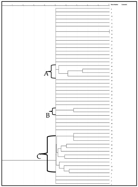 Prevalence of Class 1 Integron and In Vitro Effect of Antibiotic ...