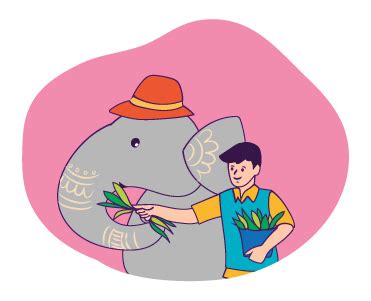 Elephant Sanctuary in Jaipur, Elephant Activities in Jaipur