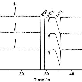 Image result for Electropherogram vs Chromatogram