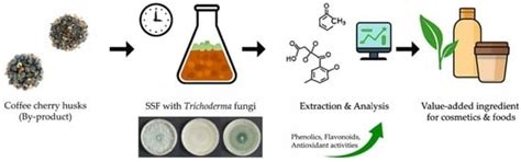 Bio-Enhancement of Phenolic Content and Antioxidant Capacity of Coffee ...