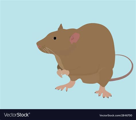 Image result for Rat Python Vector