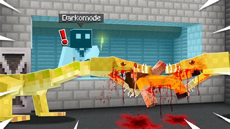 SCP 4307 的图像结果