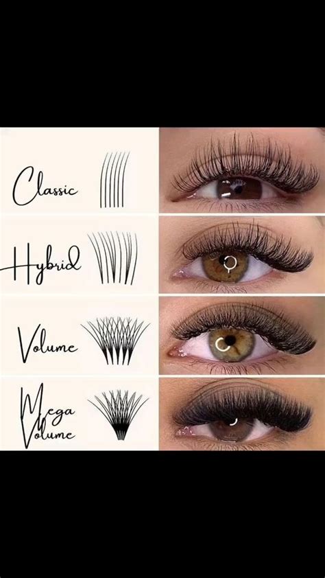 Image result for Eye Lashes Extension Types