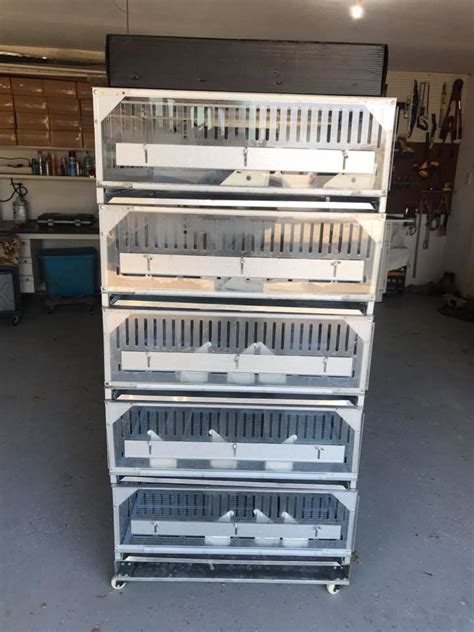 Image result for Battery Brooder