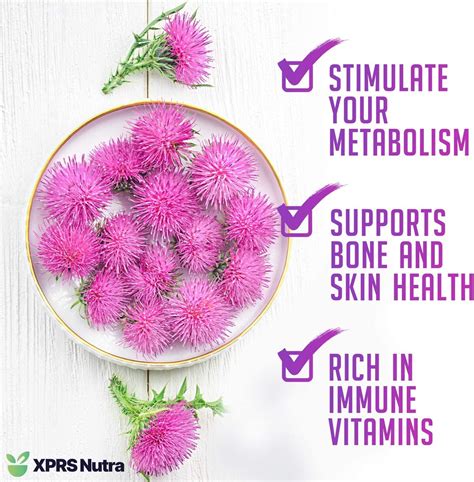 XPRS Nutra Organic Milk Thistle Seed Powder - Rich in Silymarin - Liver ...