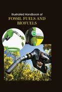 Illustrated Handbook Of Fossil Fuels And Biofuels : Amazon.in: Books