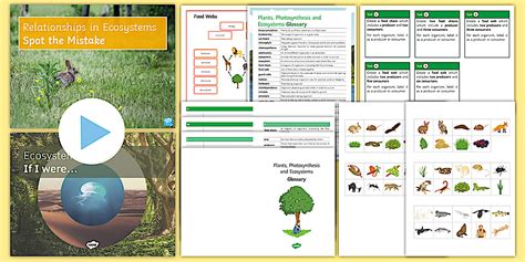 Local Food Web 的图像结果