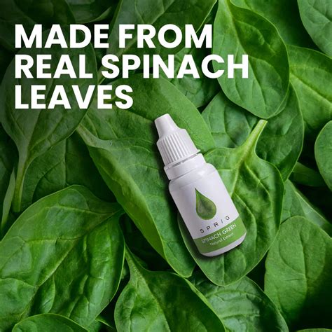 Natural Extracts for Colouring Food and Beverage - Spinach Green - Spr ...