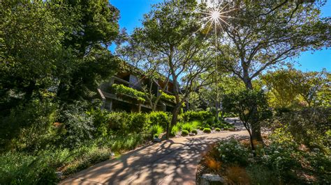 Essential Tips for Tree Watering and Water-wise Irrigation