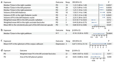 Understanding Causal Relationships between Imaging-Derived Phenotypes ...