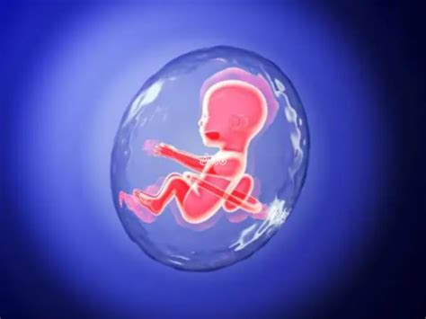美国三代试管婴儿也胎停，原来技术再好也没法保证好孕 - 相因宝贝
