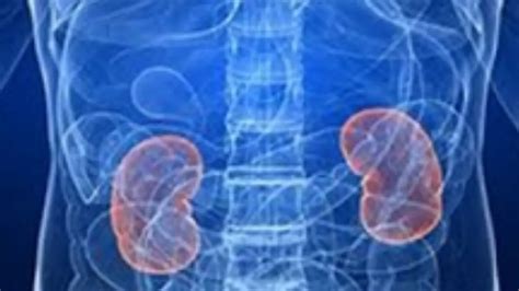 Can low-dose lithium help improve kidney health?