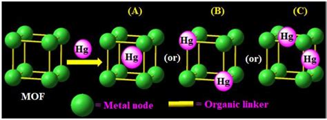 Progress in Metal-Organic Frameworks Facilitated Mercury Detection and ...