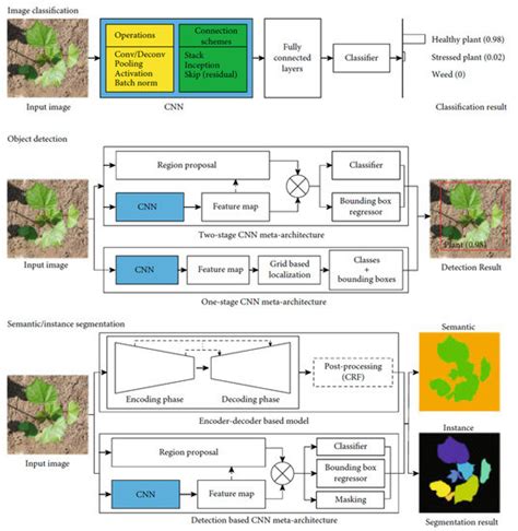 Convolutional Neural Networks in Computer Vision for Grain Crop ...