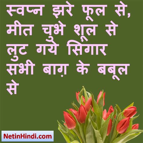 Phool Status in hindi- Phool dp Phool Shayari pictures – Net In Hindi.com