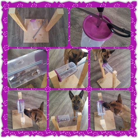 Image result for Homemade Interactive Games for Dogs