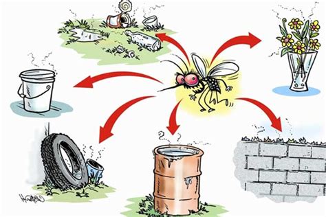 Delhi govt to rope in school children for dengue campaign