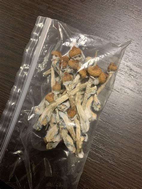 Got shrooms from a friend. First time doing shrooms and planning to do ...