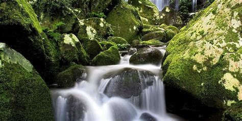 Canungra Tourism (2023): Best of Canungra, Australia - Tripadvisor