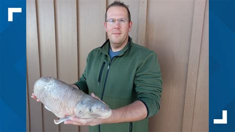 Missouri fishing records broken in 2023 | ksdk.com