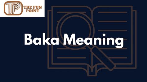 Baka Meaning - thepunpoint.com