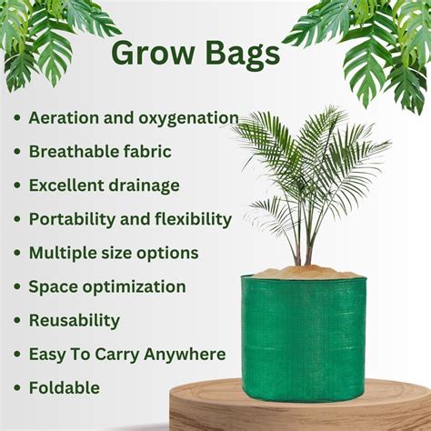 Grow Bags 9x12 |Terrace Gardening, 9 – Singhal Mart