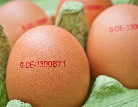 Alarmstufe rot: Eier aus deutscher Herkunft werden knapp | agrarheute.com