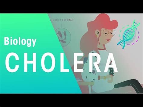 Cholera Video Lecture - Biology for GCSE/IGCSE - Class 10