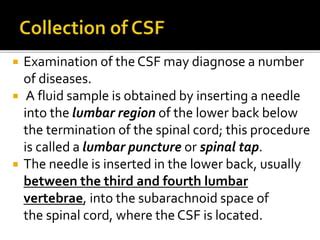Image result for CSF Sample Syringe