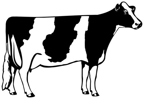 Cow Outline - ClipArt Best