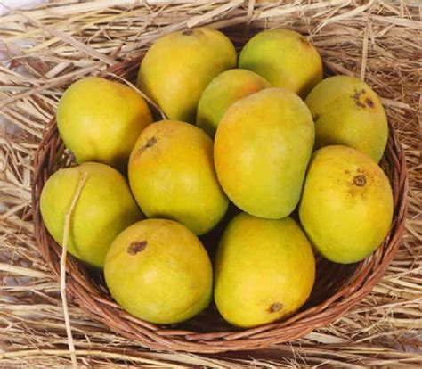 Buy Devgad Alphonso Mangoes Online - Direct from Devgad