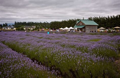 Kaikoura Travel Guide For First Time Visitors To New Zealand