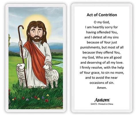 Act of Contrition Children's Laminated Educational Catholic Prayer Card ...