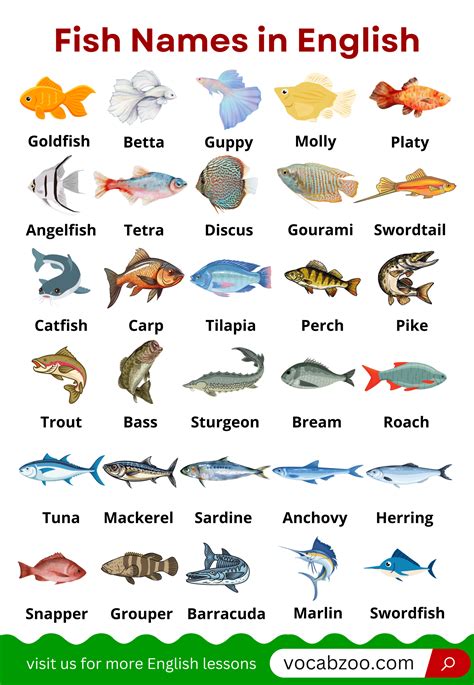 45+ Fish Names in English with Their Pictures - Vocabzoo