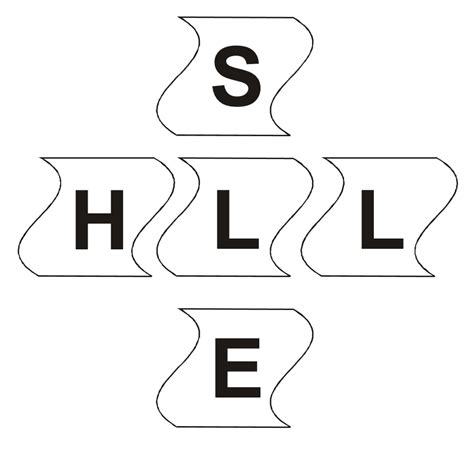 Image result for SHELL Model Examples