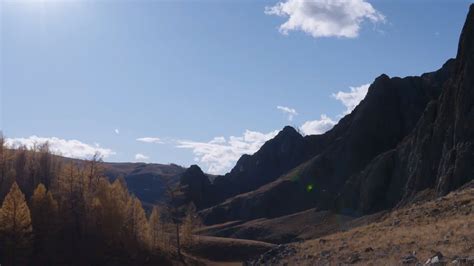 Watch Alone Season 5 Online | Stream TV Shows | Stan