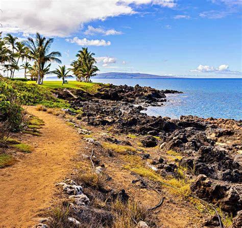 11 Best Beaches in South Maui: Complete 2026 Guide!