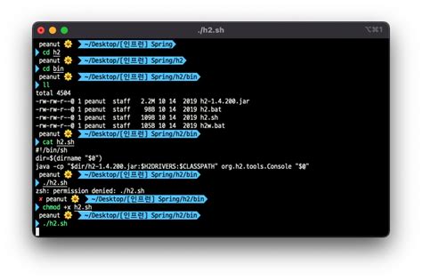 Java Connect to H2 DB in Linux 的图像结果