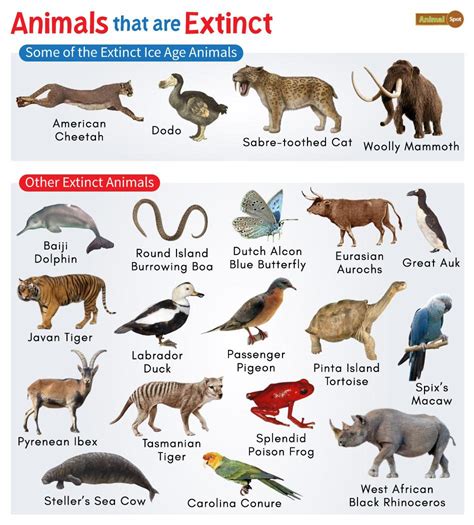 Image result for Extinct Animals with Names