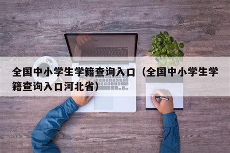 江苏省中小学学籍网登录入口 然后选择启动