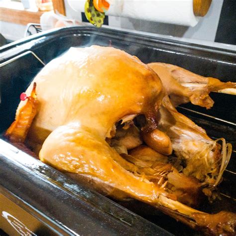 How to Cook a Turkey in a Roaster 的图像结果