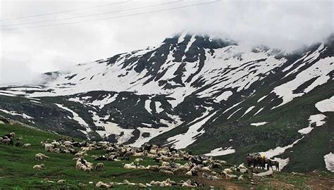 Rohtang Pass 2026: Permits, Best Time To Visit & How To Reach