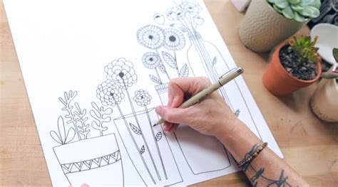 Image result for Basic Line Drawing