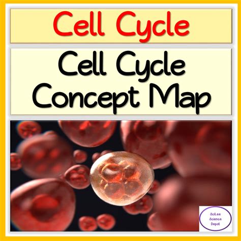 Cell Cycle Concept Map Biology 的图像结果