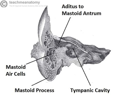 Image result for Machine Learning Vector Image