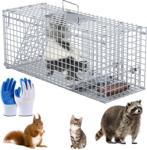 Amazon.com : iMounTEK Live Humane Animal Trap Cage Heavy Duty Folding ...